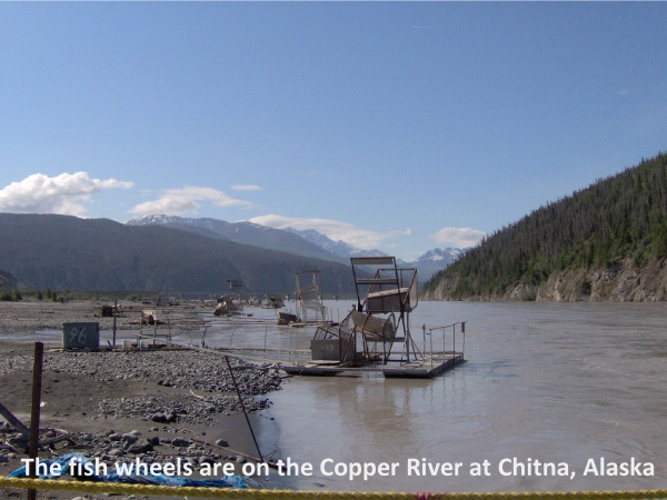 Wrangell mountains